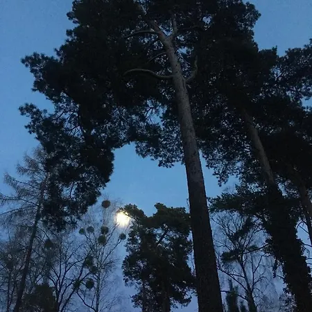 Pensjonat An Der Aue