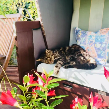 Gasthuis An Der Aue *