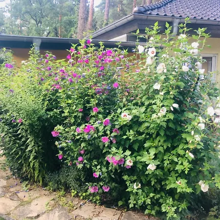 An Der Aue Guest house