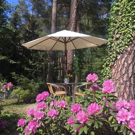 Pensjonat An Der Aue *