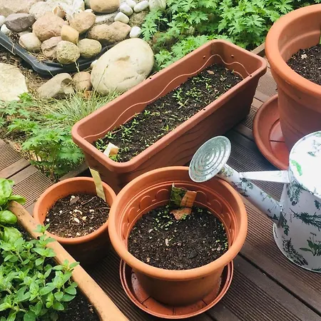 An Der Aue Gasthuis *