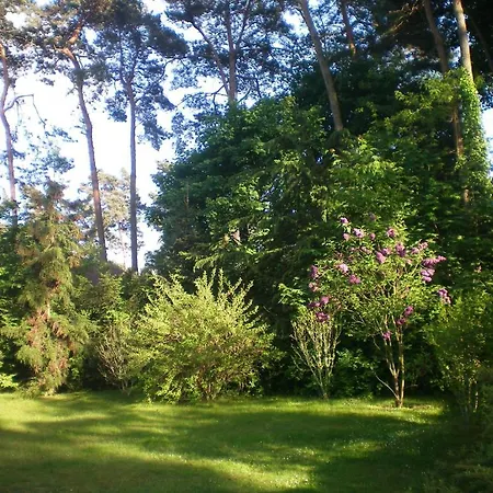 Gasthuis An Der Aue *