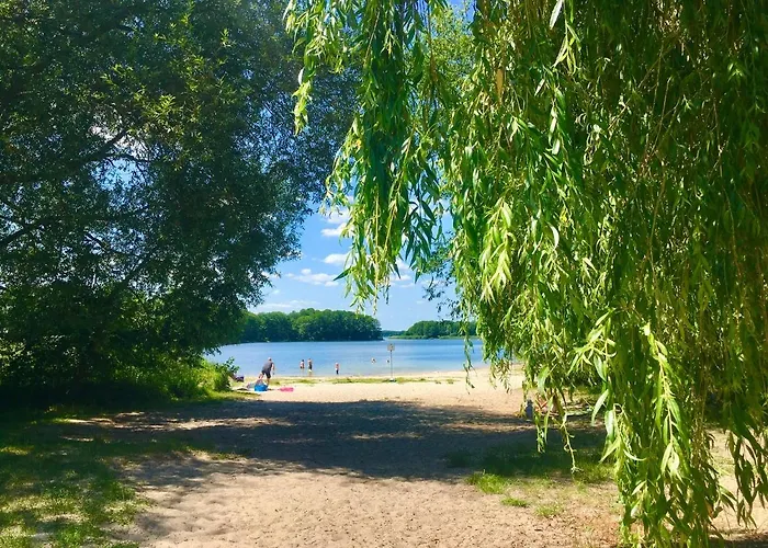 洪泛区旅馆 招待所 米兴多夫