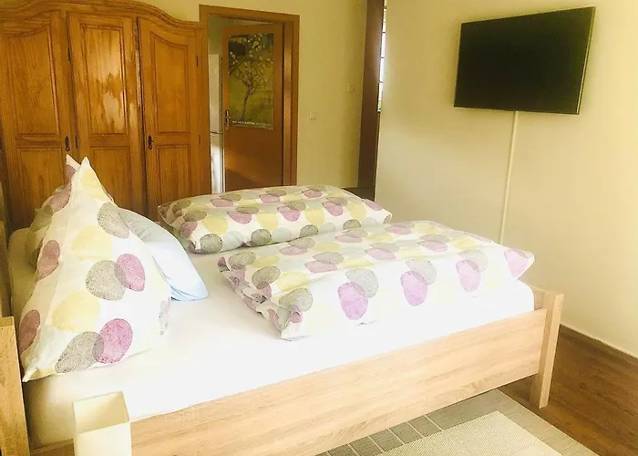 洪泛区旅馆 * 米兴多夫