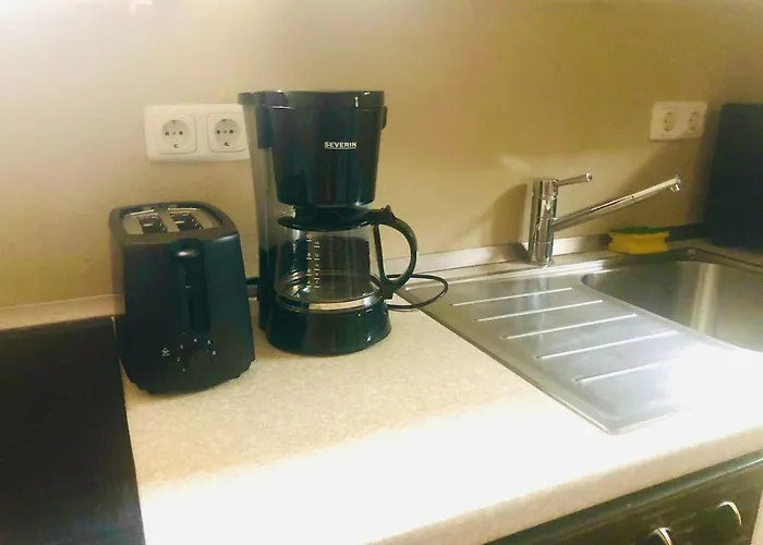 洪泛区旅馆 * 米兴多夫