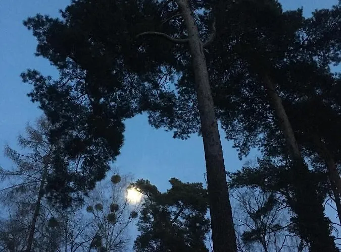 招待所 洪泛区旅馆