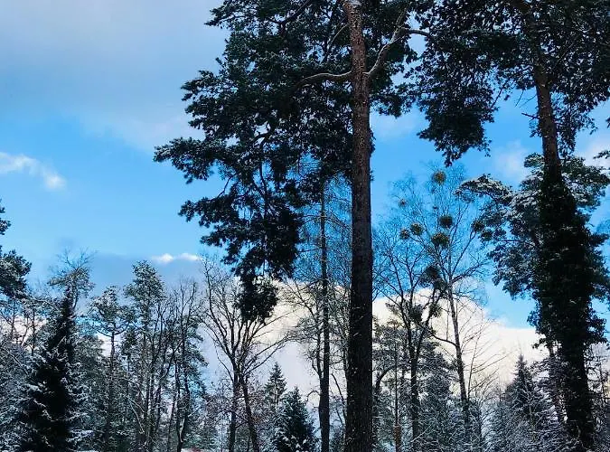 洪泛区旅馆 米兴多夫