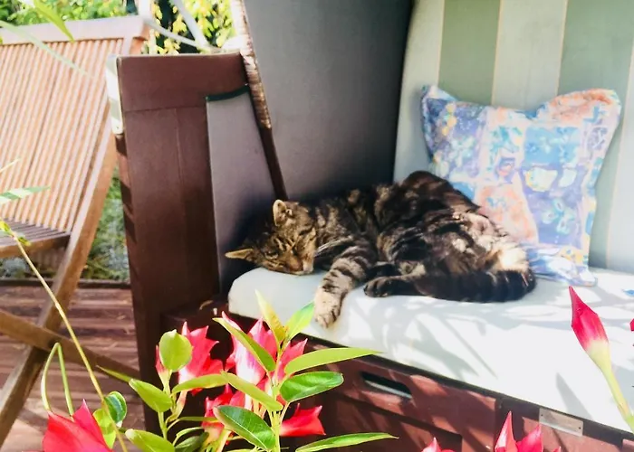 Pensión An Der Aue *