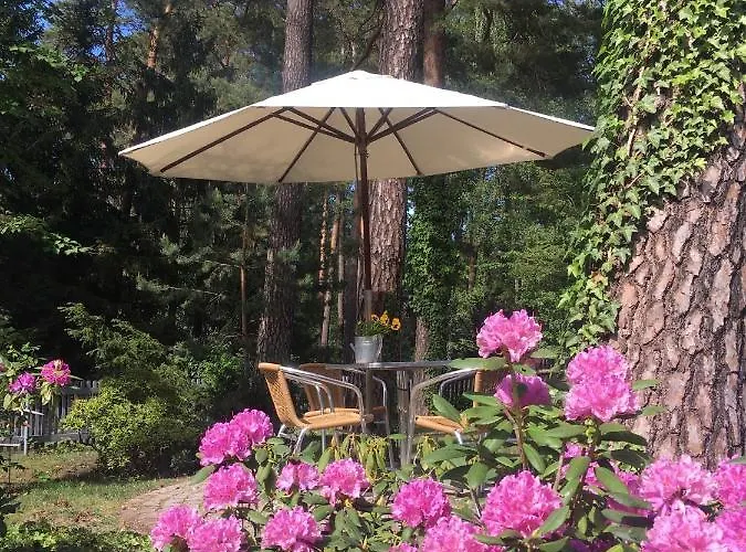 招待所 洪泛区旅馆 *