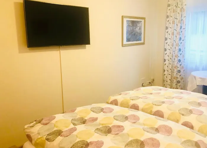 招待所 洪泛区旅馆