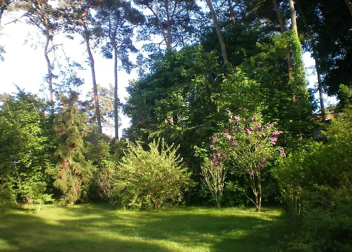 Pensión An Der Aue *